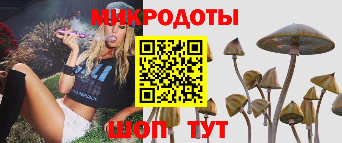 Галлюциногенные грибы Cubensis  Вход с VPN  Знаменск 