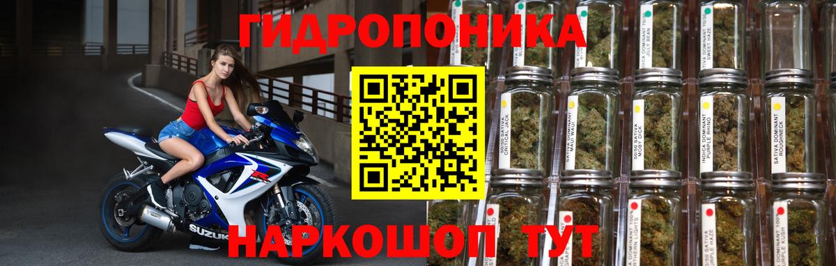 Бошки Шишки ГИДРОПОН  Вход с VPN  Каннабис VHQ  Знаменск  Бошки марихуана MAZAR 